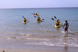 Kayak