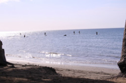Stand-up Paddle Boarding