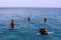 Scuba Diving