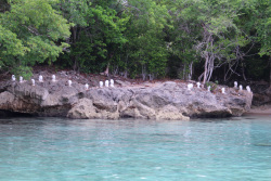 Esculturas Río San Juan